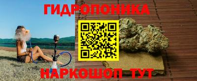 крисы Мариинск