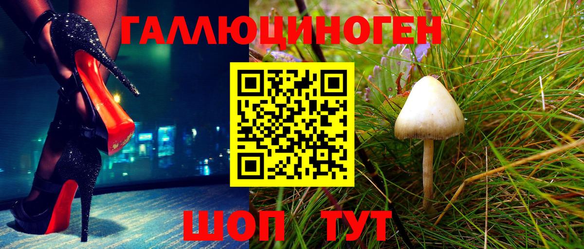 Галлюциногенные грибы Psilocybe  Вход с VPN  Галлюциногенные грибы прущие грибы  Шали 