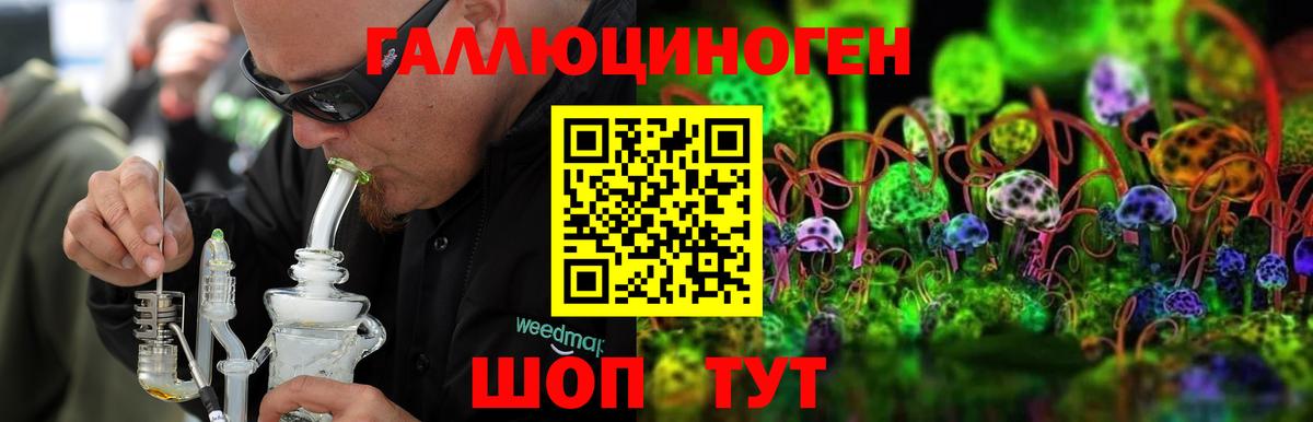 Псилоцибиновые грибы Psilocybe Шали