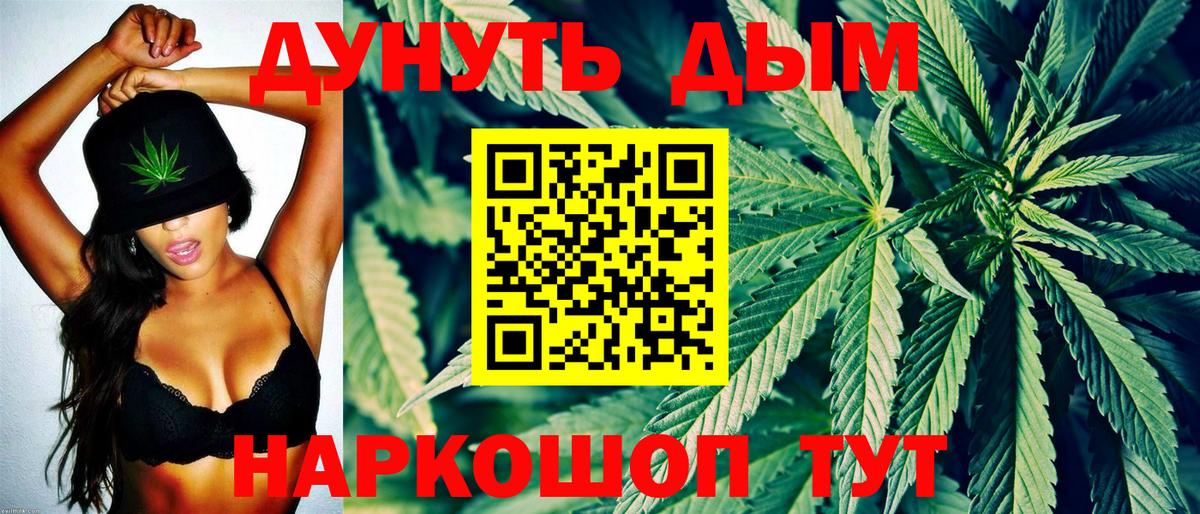 Канабис планчик Шали